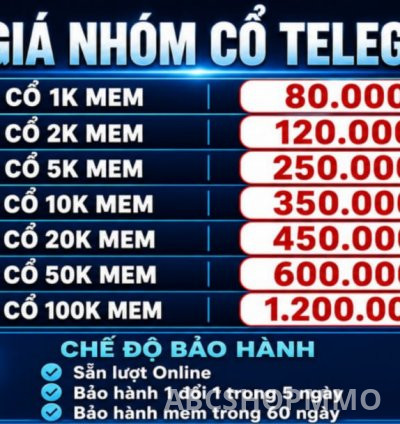 Nhóm Telegram mem online cao  Hàng việt real